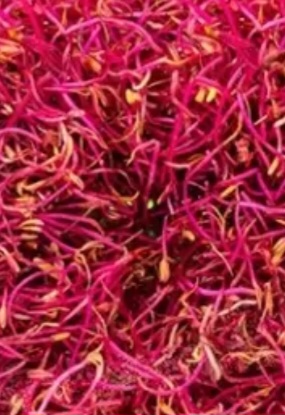 تصویر 2 از پست ادمین کافه